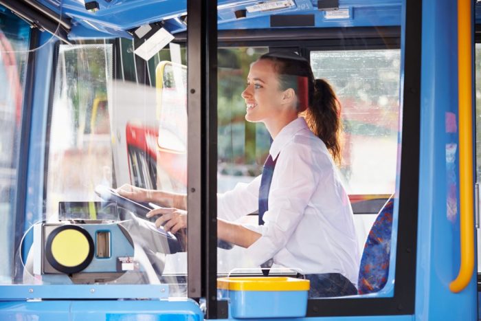 DIAMOND project transport professionals