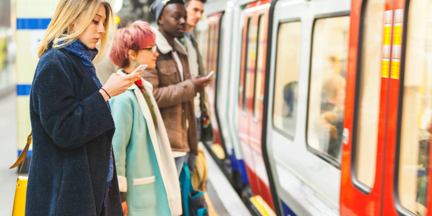transport users and professionals