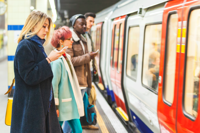 transport users and professionals